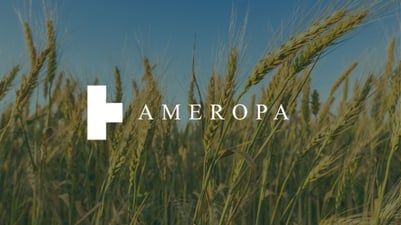 Operations Manager appointment in regional...