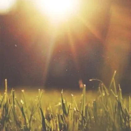 Industries Not for Profit