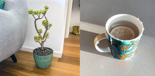 mental-health-plant-tea